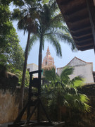 IMG-8836