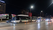 IMG-4264