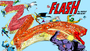 flash300wp