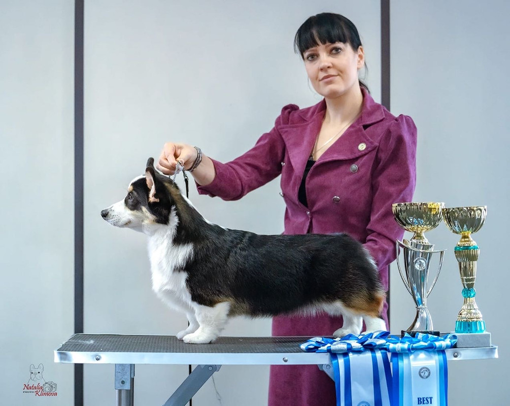 EBC3E6DD-8232-48E1-ABB4-9D9EBFC51475