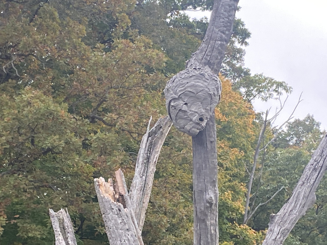 A4A7CE21-FEB0-4228-82B3-3D1A59BD8A9F