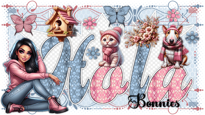 Hola Warm Pets bonnies