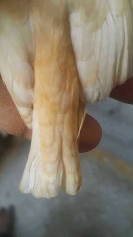 ٢?١٨١١٢?_١٥٢٦٢٥