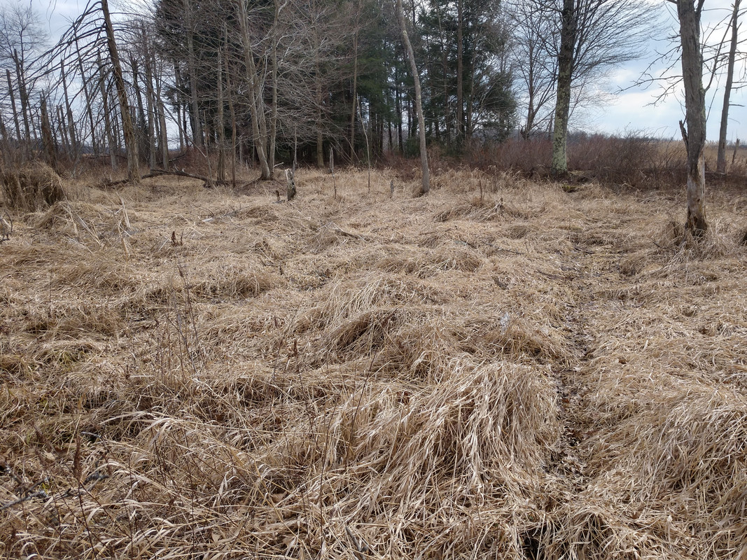 IMG_20190319_154437839_HDR