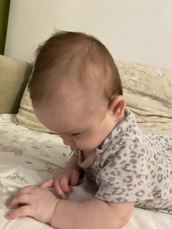 CFD56D57-71B4-484C-B975-0BA437C308BC