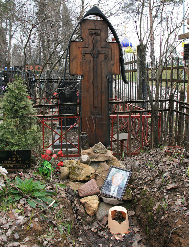 voronov-np