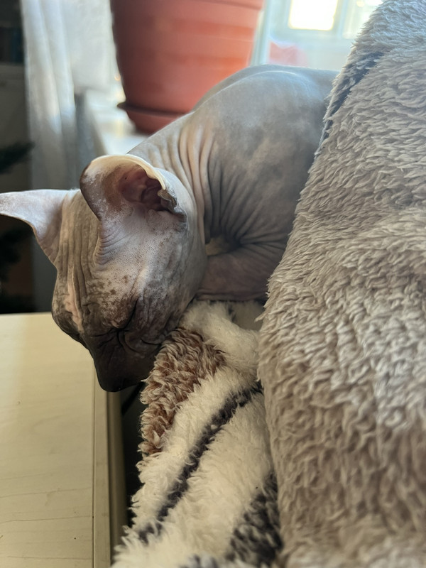 IMG-41d17ba0d0af0f9c5d3083d14a402d36-V