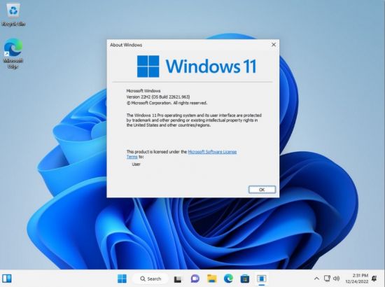 Windows 11 Version 22H2 Build 226621.963 Pro 3in1 OEM ESD MULTi-7 December 2022 No TPM or Secure Boot Required