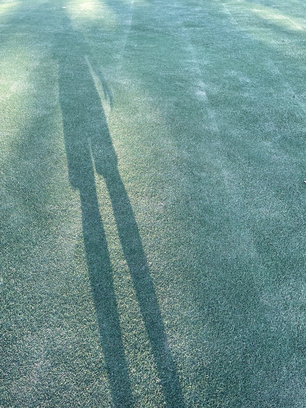 1DCE6E1E-6F4E-4B3E-A88D-83AA20B8094A