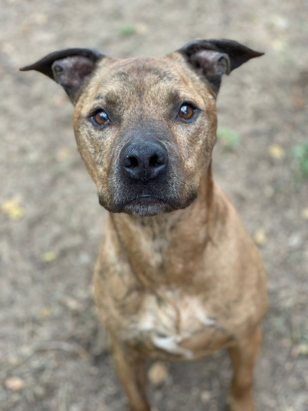 WhatsApp Image 2022-08-05 at 20.23.26 (1)