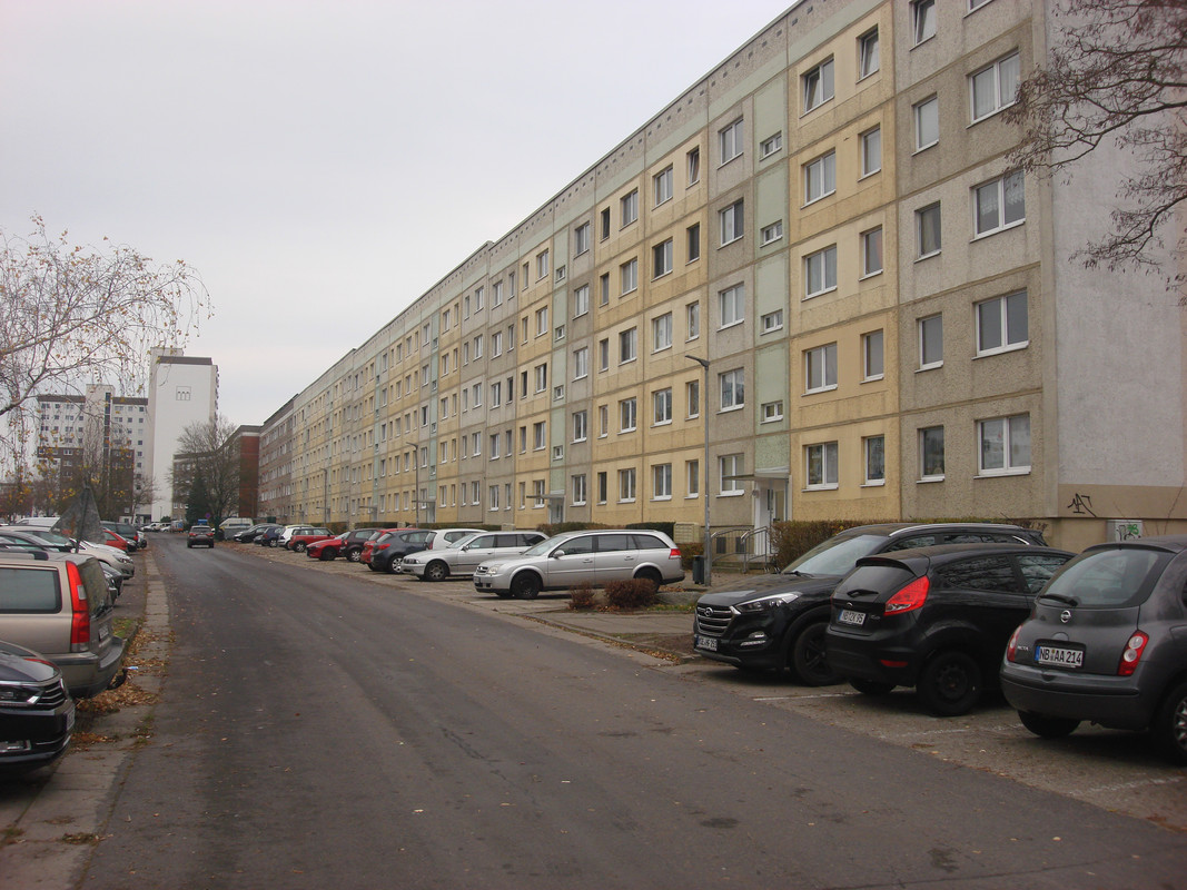 DSC08705.jpg