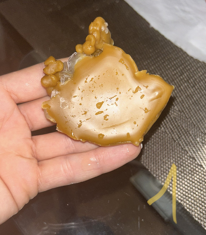 5E1EDE60-84AF-43B6-8EEB-50FC208FFC14