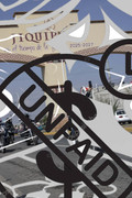 IMG-1866