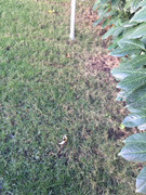 5AE7AE95-3B9B-4D66-B3DF-6A2E770D1BF7