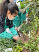 photo-20211123-iherbalgarden-017