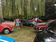 IMG-20220731-162044.jpg