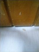 IMG-20211030-144915