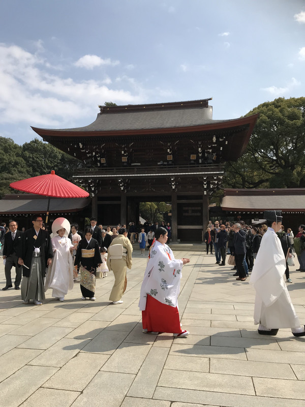 FD03C60C-2177-48E6-B918-FF4726FCAC54