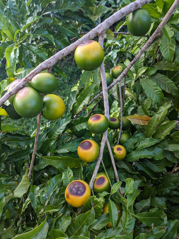PXL_20230626_231336817