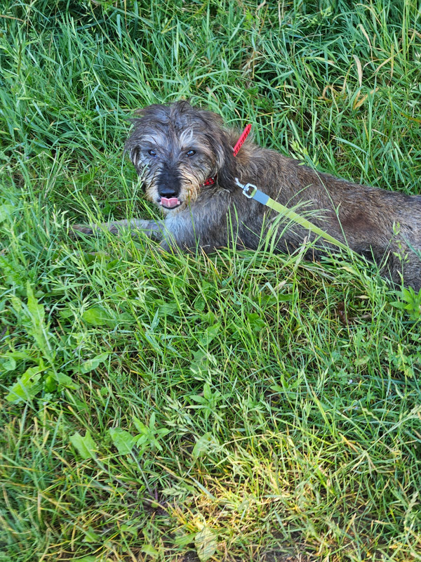 [Image: IMG-20240611-WA0008.jpg]