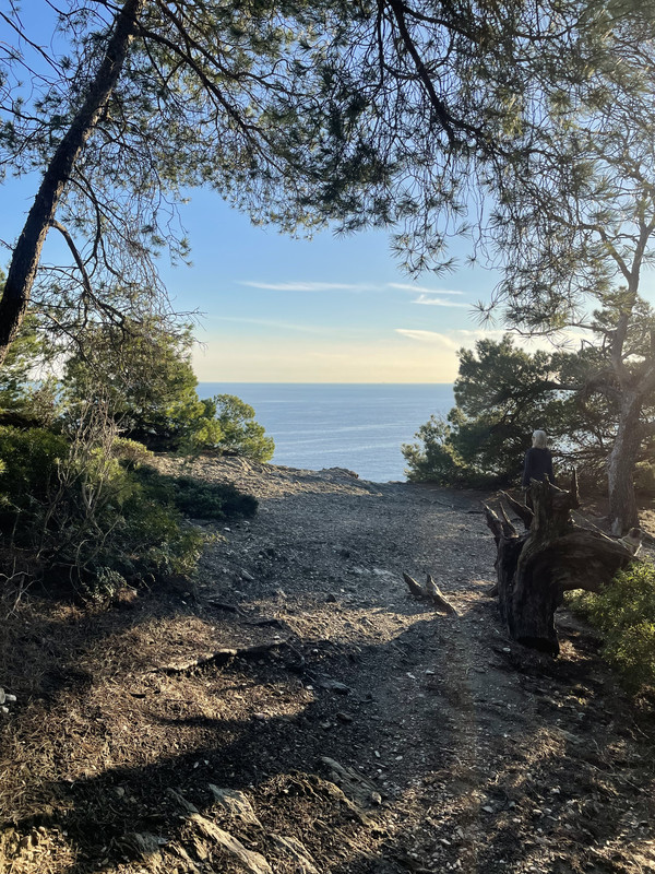 7809A832-8EEF-48E1-80D7-46892069019F