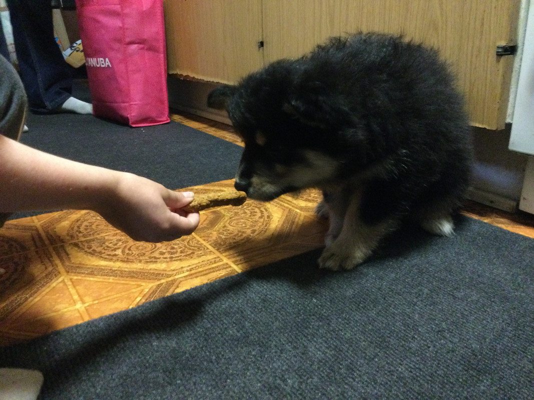 02486CBD-E453-41A3-99F6-68EBAC2FB5A9