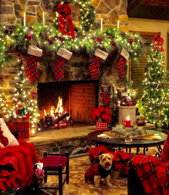 Screenshot_20231108_212337_Instagram