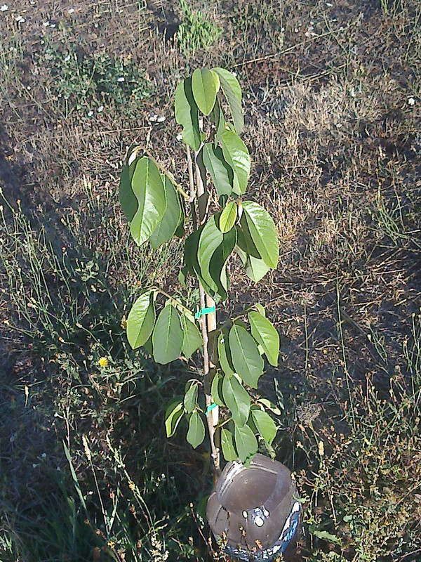 foto0107