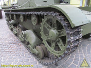 IMG-8133