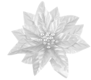 BC-Charlizes-Winter-81
