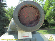 IMG-5481