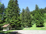 IMG-7576.jpg