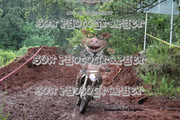 IMG-6607