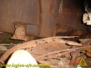 DSCN0154