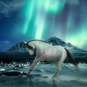 12246C51-ECBA-4F26-9586-1D4F69D298B7