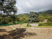 22 Никитский сад