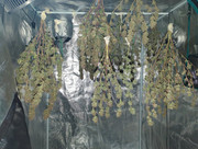 IMG_20250513_130405_590