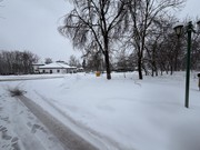 IMG-6591