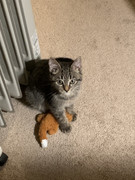 13851EBC-18D6-48DC-9121-10FE7883E822