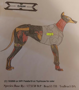 0023 - Eclipse - #193898