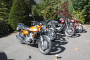 IMG-4003