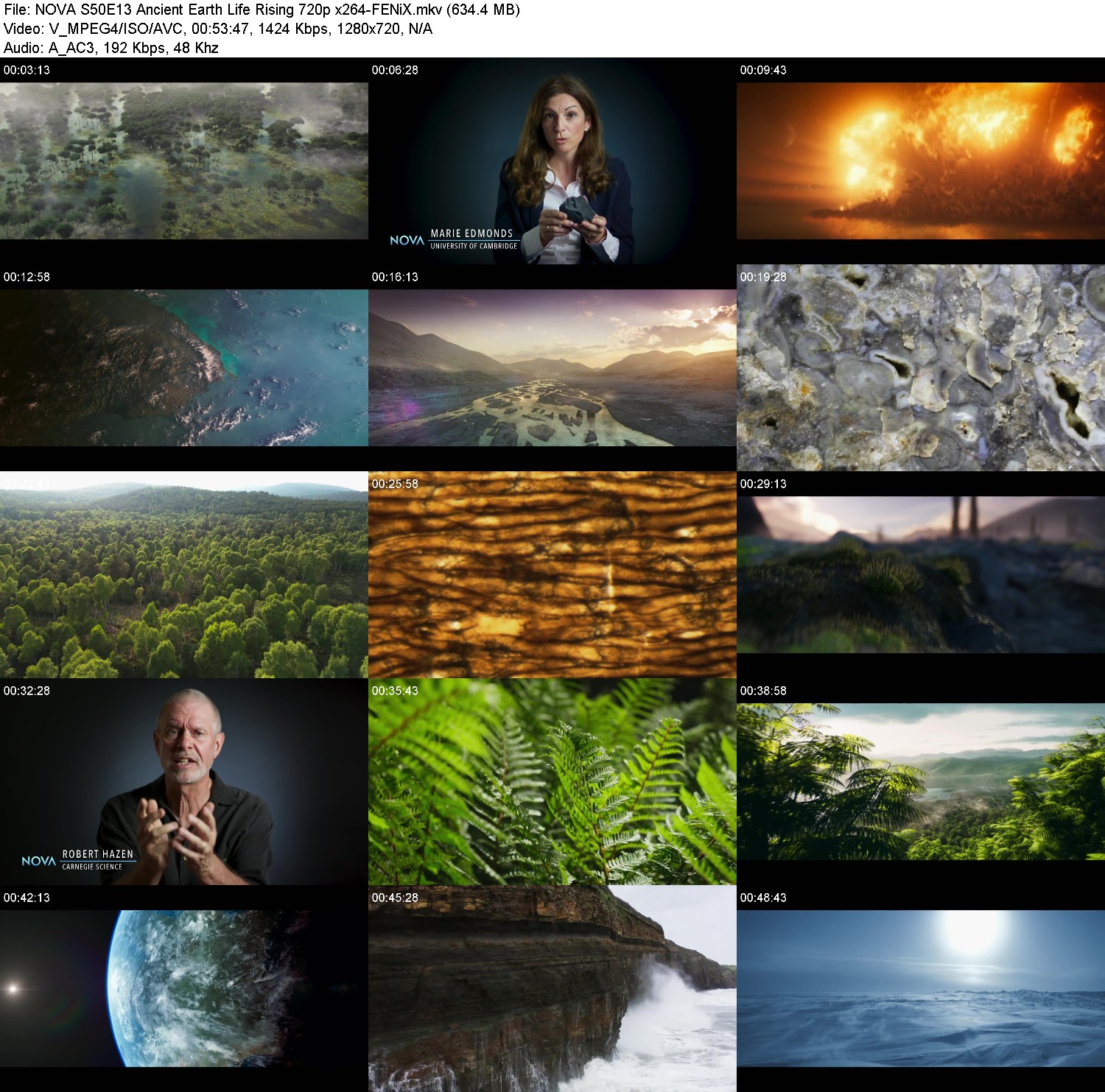 [Image: x9feycnvr517.jpg]