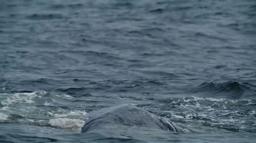 [Image: 44dyadco87jr.jpg]