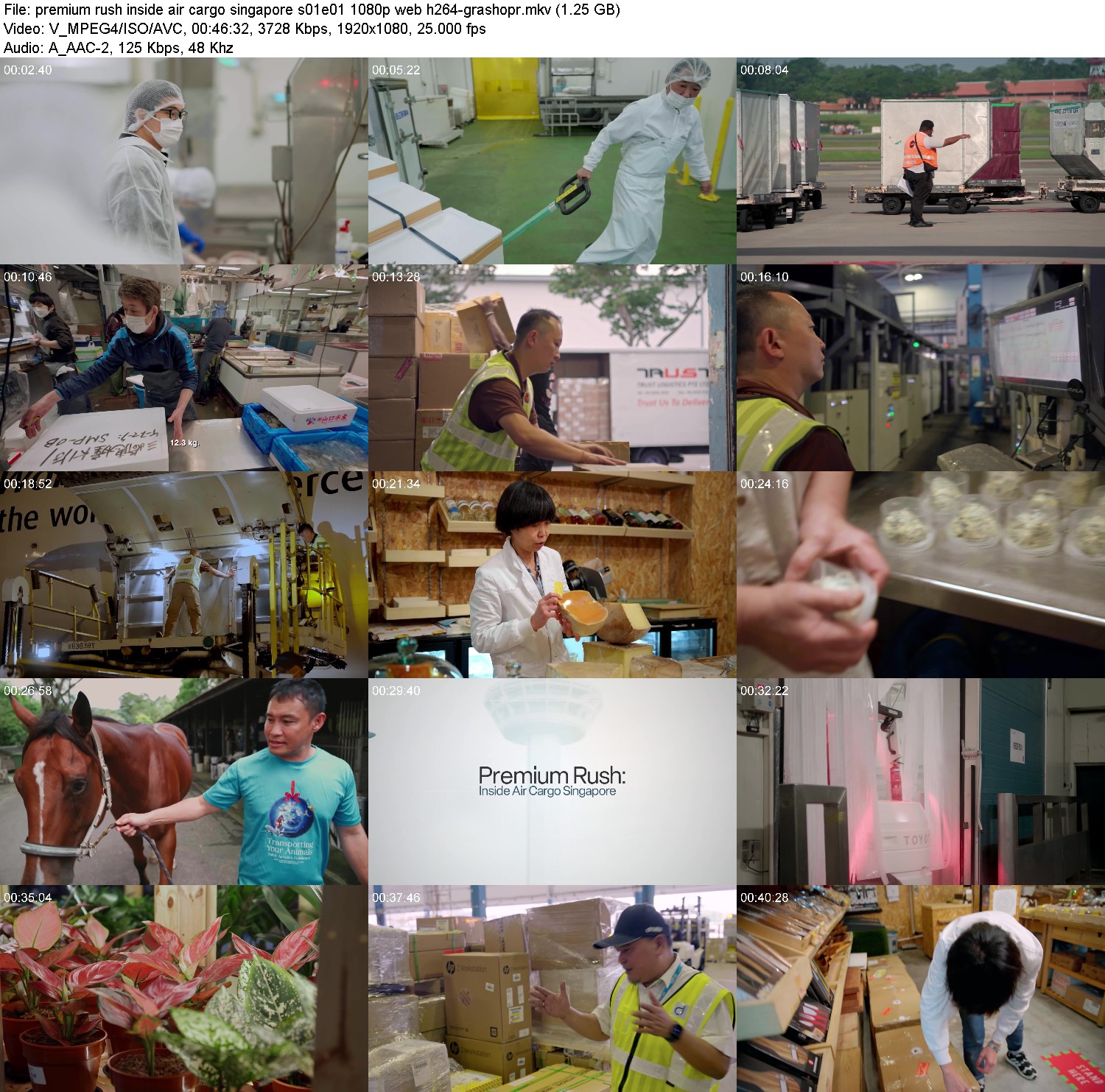 [Image: 3tmri50b4nfl.jpg]