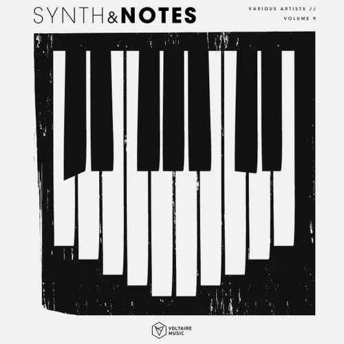 VA - Synths & Notes, Vol. 9 (2026)