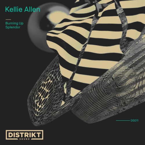 00-kellie-allen-burning-up-d-S011-web-20