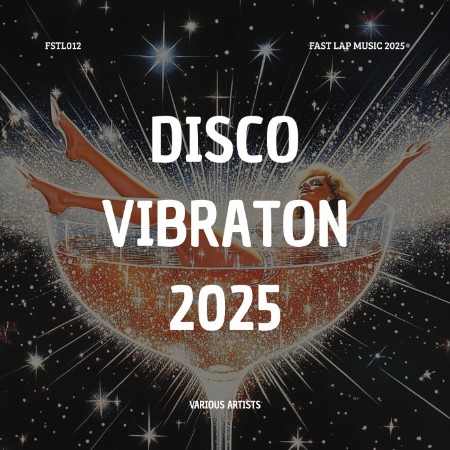 VA - Disco Vibration (2025)