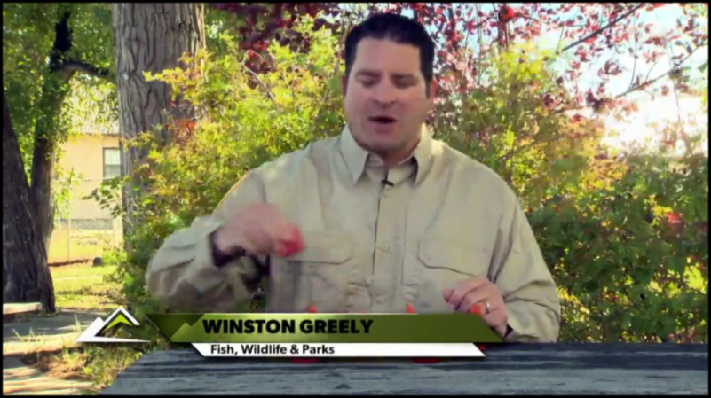 [Image: 7c18hzcaj6ee.png]