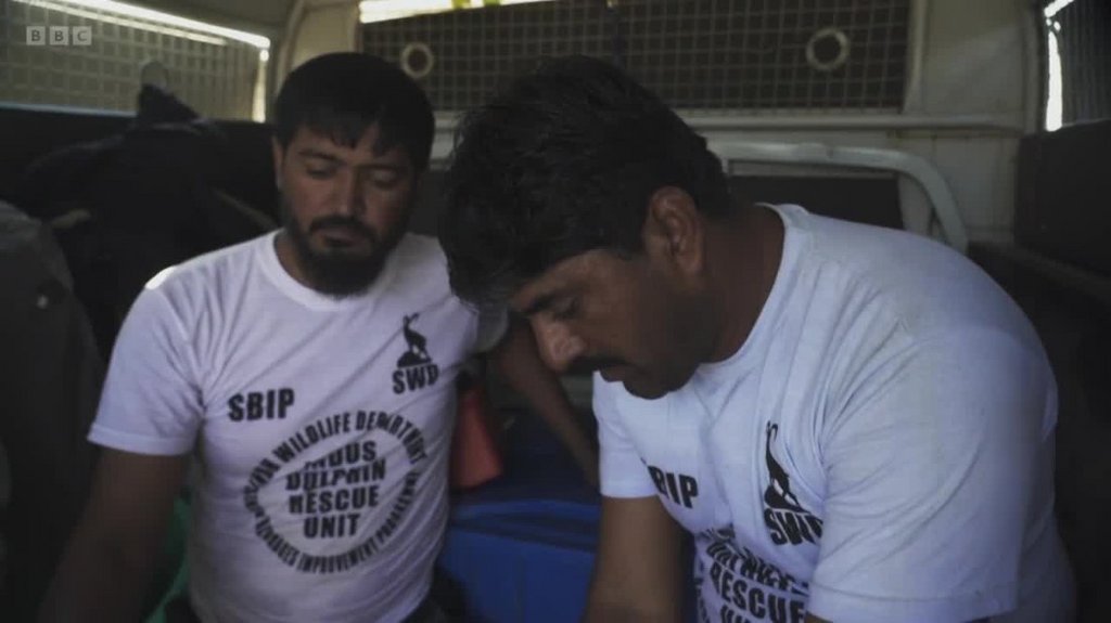 [Image: t343f5huoser.jpg]