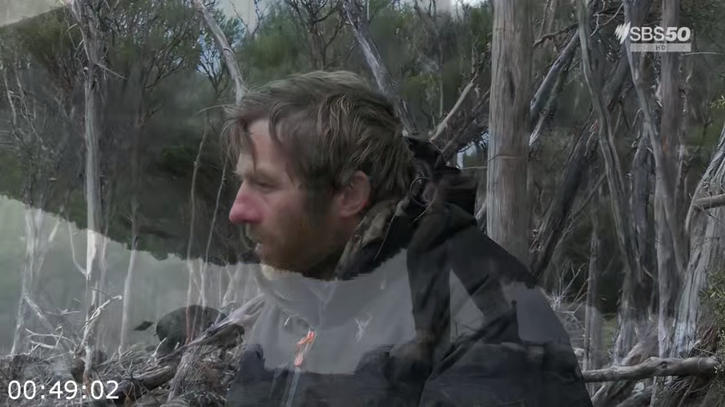 [Image: j5l70wckba8p.png]